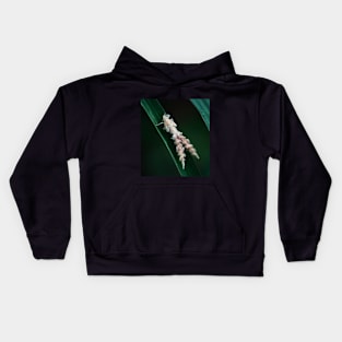 Leafhopper Kids Hoodie